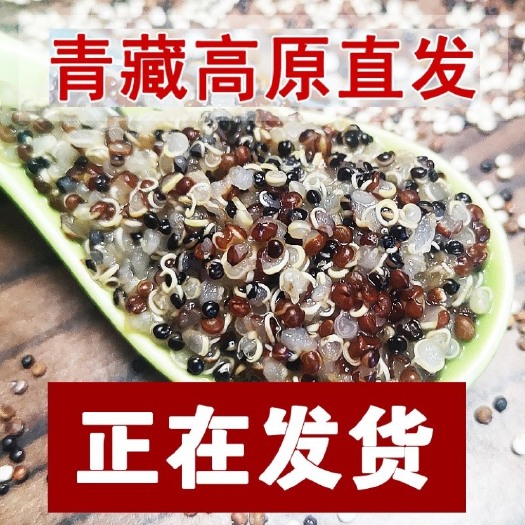 新青海三色藜麦藜麦米高原白藜麦黎麦米五谷杂粮粗粮搭奇亚籽麦片
