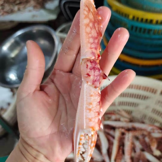 蓝花蟹  新鲜/蟹钳/蟹腿，每天都有供应