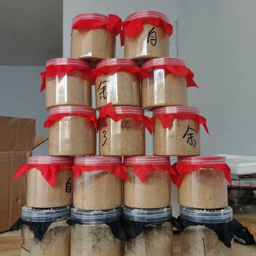 宜章县黑水虻虫卵，买虫卵提供技术支持