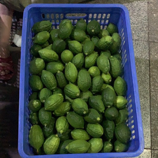 台山市广东香水柠檬