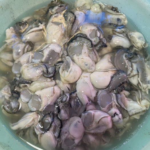 大连牡蛎 大连原浆海蛎肉，当天新货