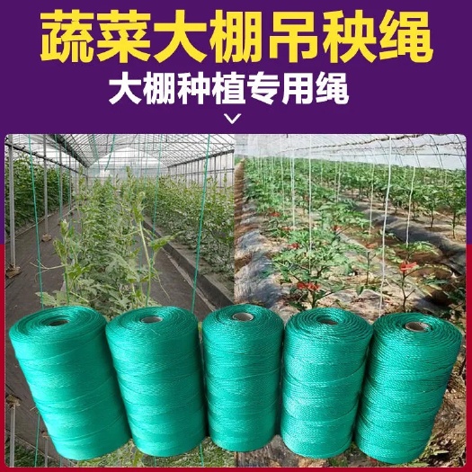 无棣县厂家直销大棚拉绳吊秧绳黄瓜吊蔓绳塑料绳子番茄西红柿绑蔓绳农用