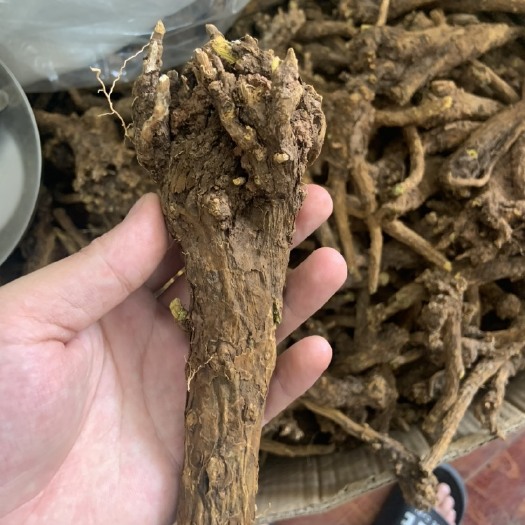 广州黄芩95%以上干度原条 含量足可以过药检 陕西产地大货供