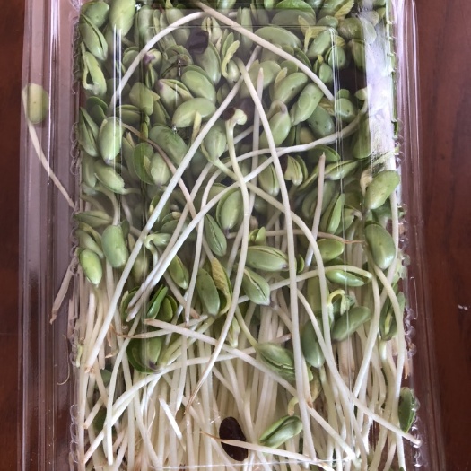 盒装 黑豆芽
