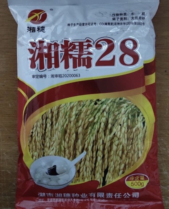 湘糯28水稻种子  糯谷稻种 糯稻种子 湘糯28 大长粒糯米 常规糯米种子 1斤