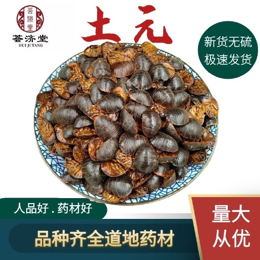 安国市冀土元  河北土元虫包邮