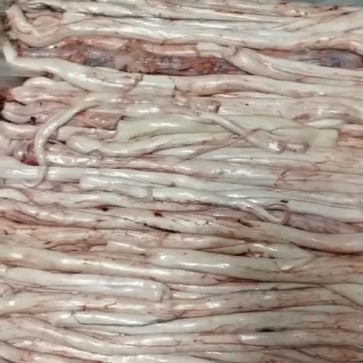 汕头 牛骨髓。口水。新鲜货