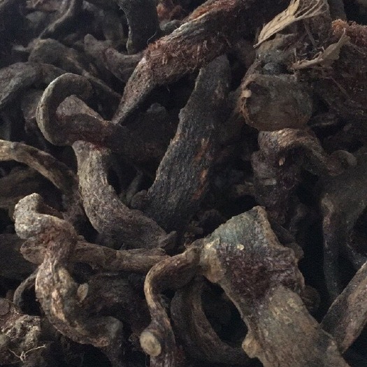玉林中药材大叶骨碎补 爬姜岩干货。