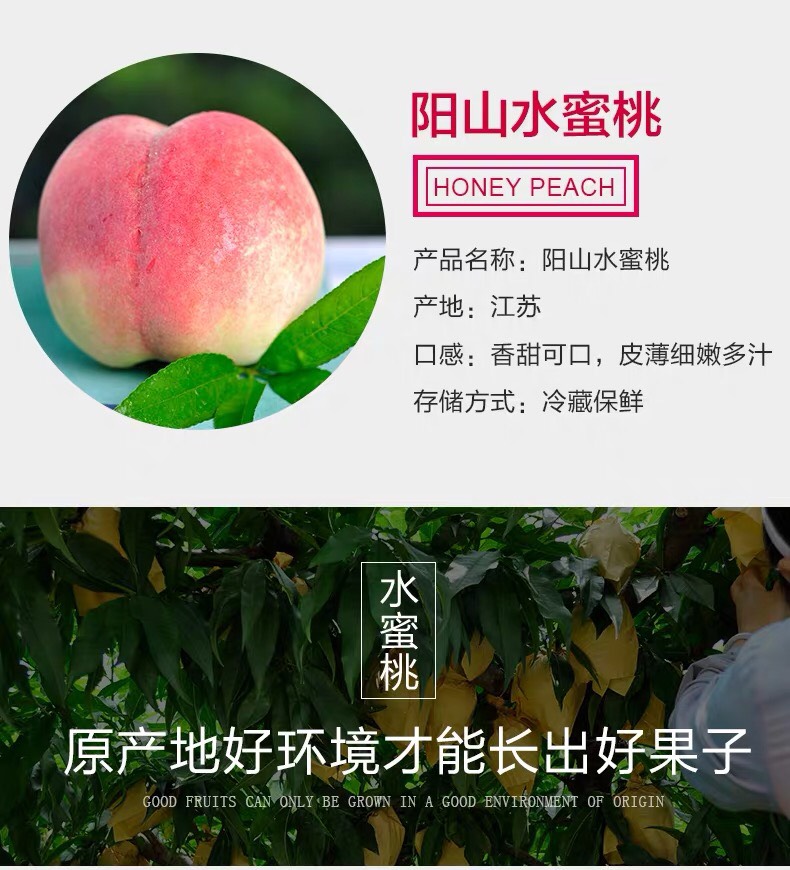 阳山水蜜桃新鲜桃子7-8两6个礼盒装当季水果现摘现发