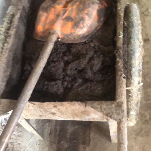 霍邱县 自家养殖场出售牛粪100吨，寻找长期合作伙伴