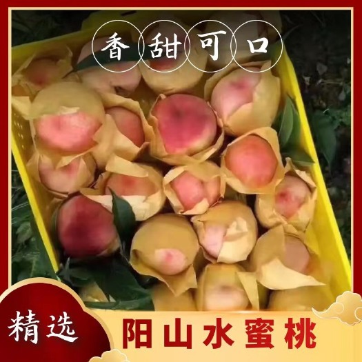 无锡无锡阳山水蜜桃4两12个装当季桃子新鲜釆摘果园直发