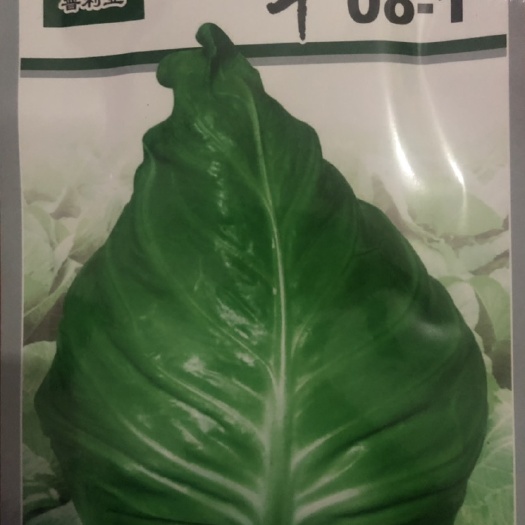 牛心甘蓝种子 杂交种 ≥85% 