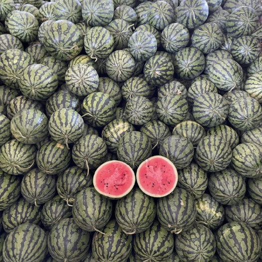 扶绥县花麒麟西瓜