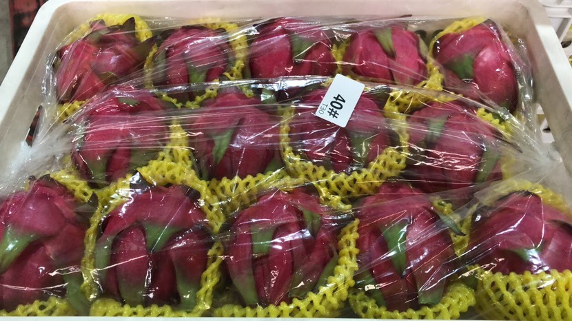 南宁金都一号火龙果 广西精品红心火龙果