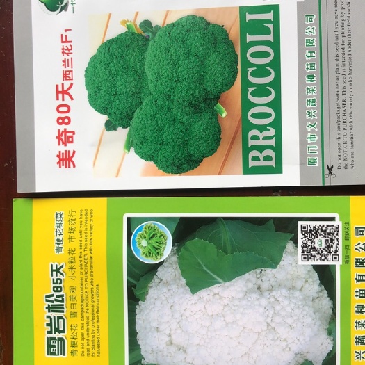 松花菜种子 原种 ≥96% ≥98% ≥85% ≤7% 袋装 