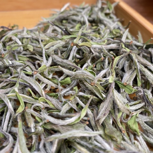 福安市白牡丹茶  粉丝福利2021年福鼎白茶特级荒野牡丹王散茶1斤起批