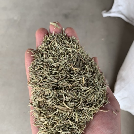 玉林 迷迭香 迷迭香 泡茶 西餐调料