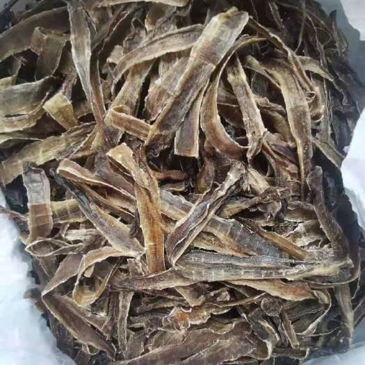 梧州土地龙 地龙