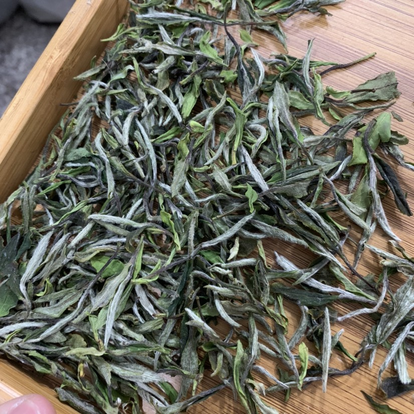 白牡丹茶  2021年福鼎白茶磻渓老树牡丹