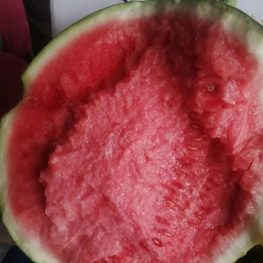 唐山麒麟美都精品西瓜