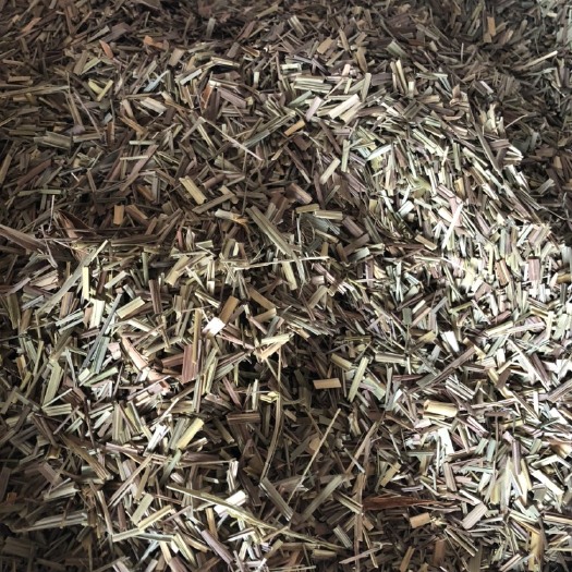 玉林 香茅草