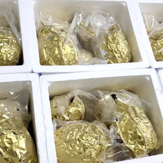 猫山王榴莲 马来西亚猫山王  支持一件代发  批发