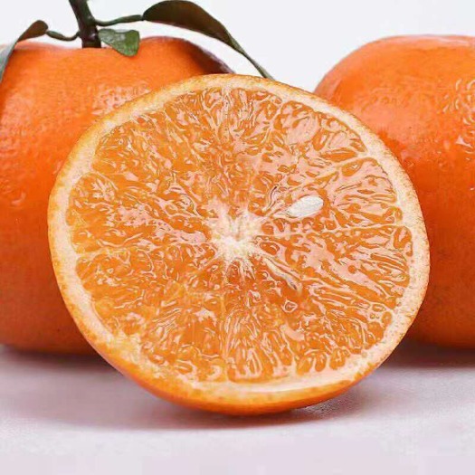  广西武鸣沃柑非皇帝柑橘子应季新鲜水果薄皮橘子