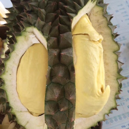 东兴市 泰国榴莲