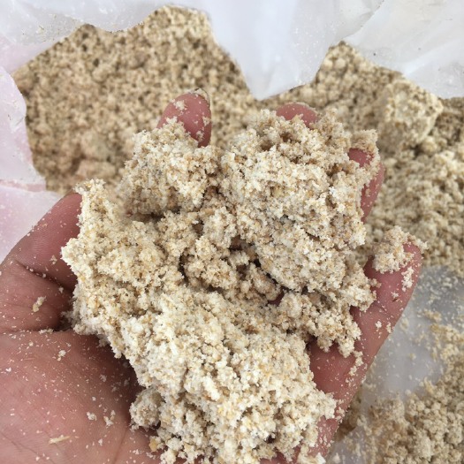 桂平市新鲜发酵豆渣