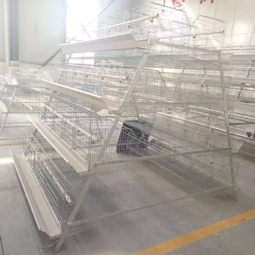 西平县 阶梯式蛋鸡笼，全自动化设备，全自动养殖设备，全自动养鸡设备。