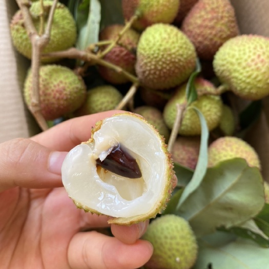 灵山县妃子笑荔枝  广西灵山荔枝 美味可口 鲜嫩多汁