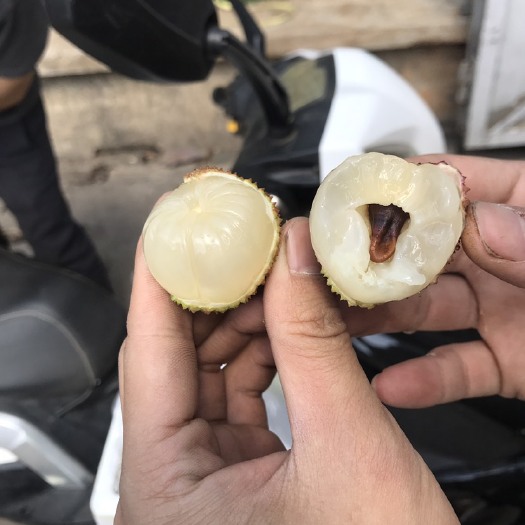 昆明 妃子笑荔枝