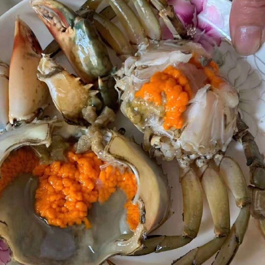 全州县 一只一斤巨无霸正宗三门青蟹 大螃蟹鲜活海鲜海蟹红蟹黄膏
