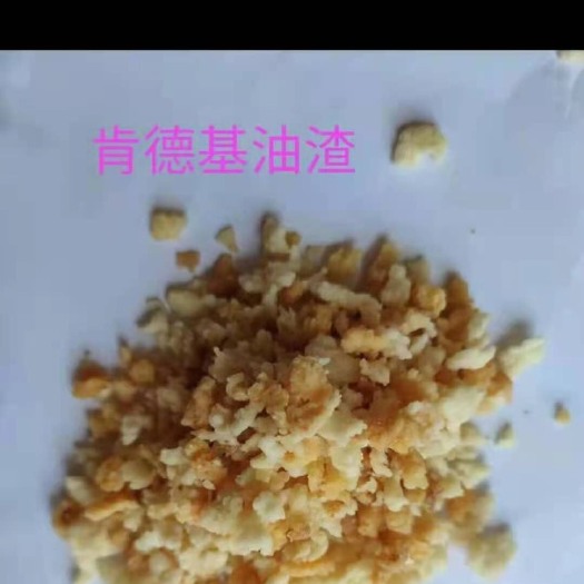 正定县 肯德基油渣