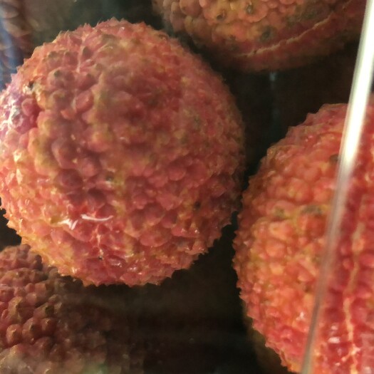 澄迈县 无核荔枝