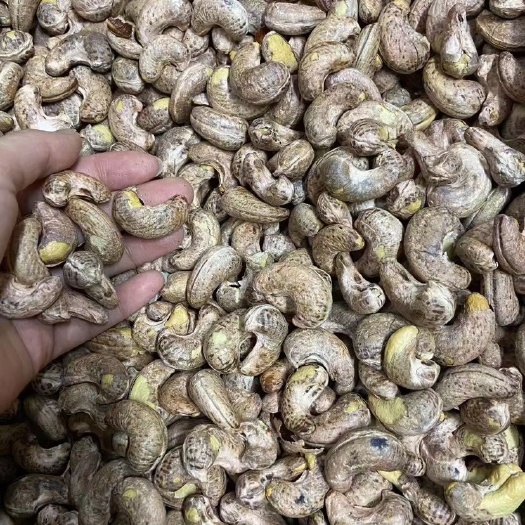 东兴市 越南腰果大量批发