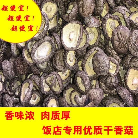 西峡县野生香菇  【新货】正宗香菇干货特产干香菇500g新货