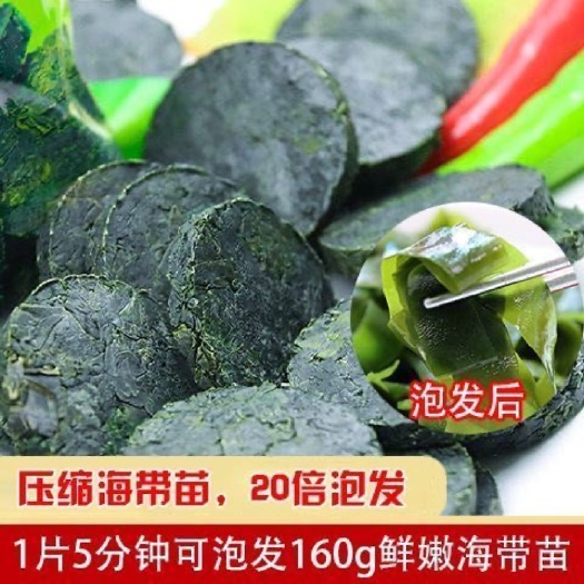 漳浦县【新品】压缩海带苗圆饼泡发即食无沙免洗特级脆嫩海带裙带菜干货