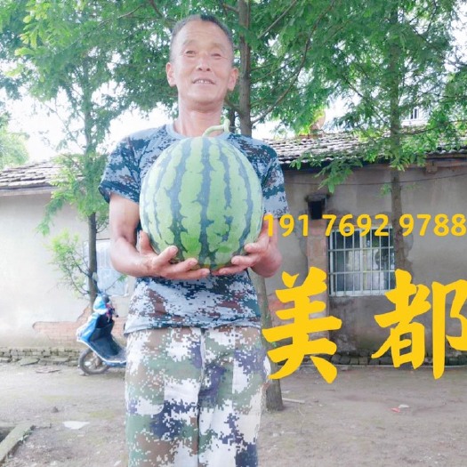 华容县美都西瓜已经上市 随到随装  大棚精品无籽头茬瓜 7斤起 糖