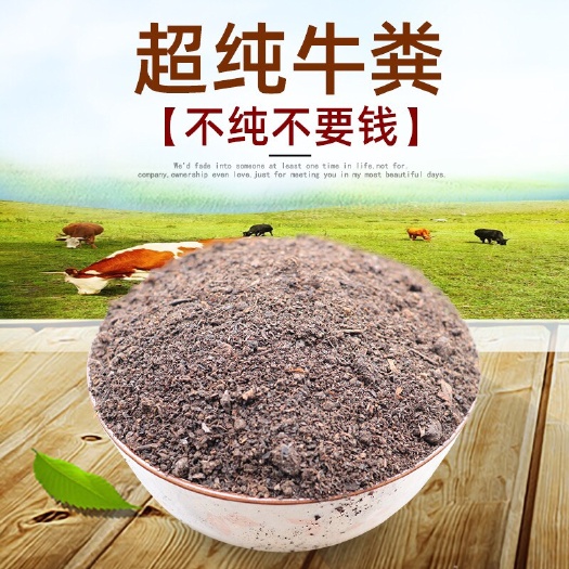 五河县纯牛粪高温灭菌发酵有机肥