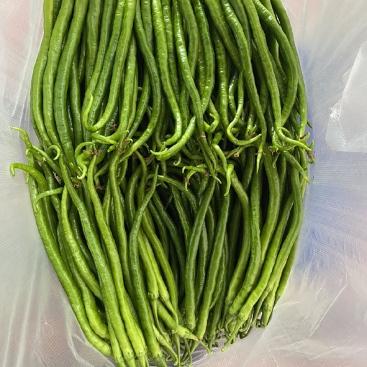 长沙 新鲜辣椒
