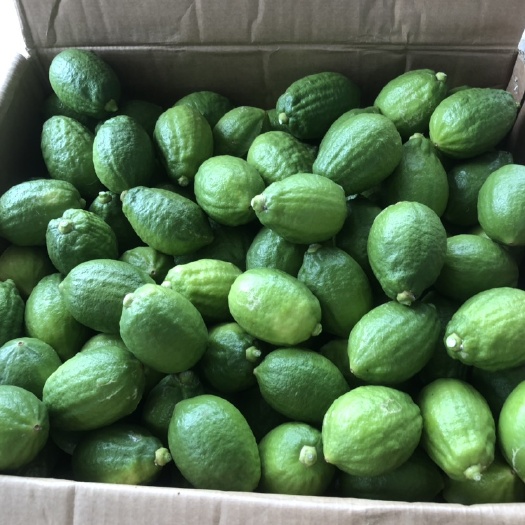 广东无籽香水柠檬