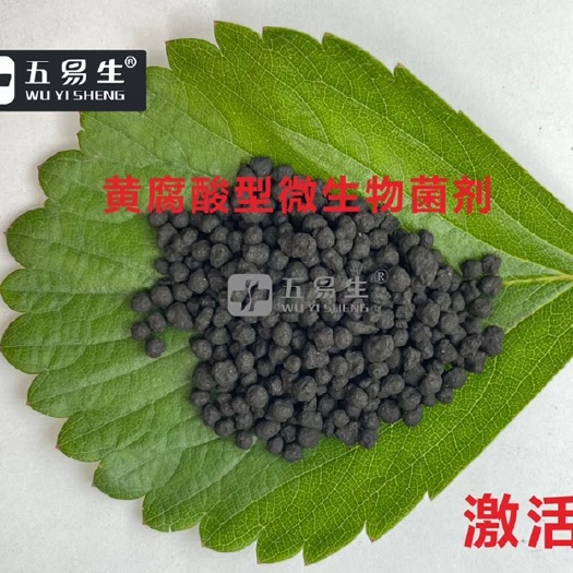 霍州市激活帝 矿源黄腐酸钾水溶菌剂  微生物菌肥 有机肥