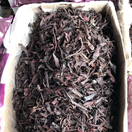 昆明紫草