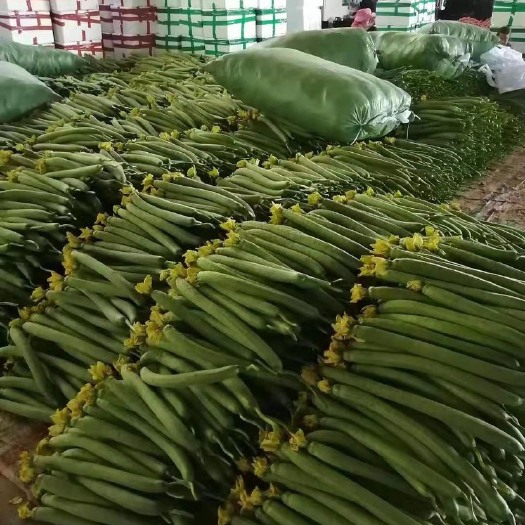 蒙自市 丝瓜新鲜蔬菜农家自种￼￼现摘现发￼
