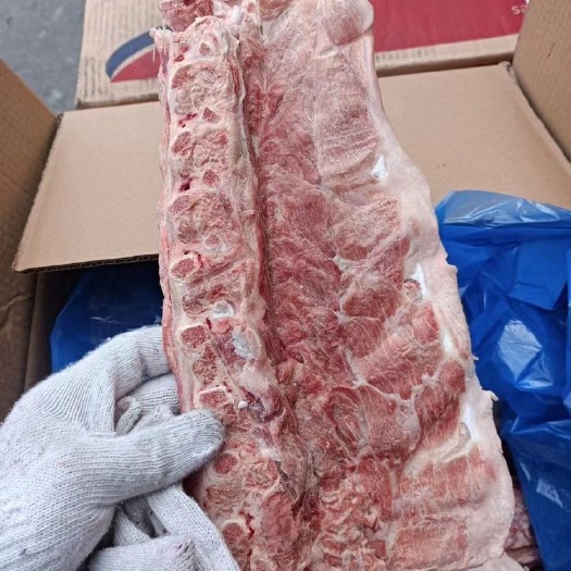 临沂猪骨头  797背骨