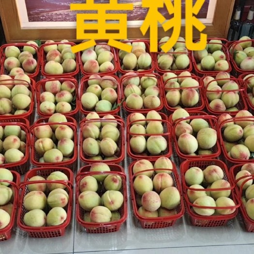 蟠桃 这个桃子怎么样