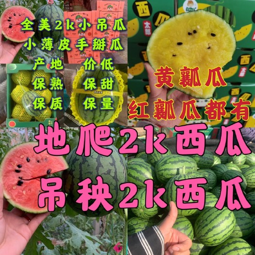 潍坊早春红玉西瓜，小薄皮，黑籽，手掰瓜