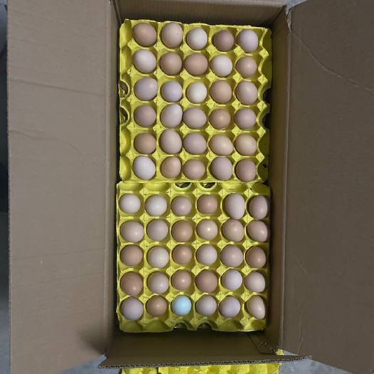 产地直销34-36斤双色白风土鸡蛋全国发货