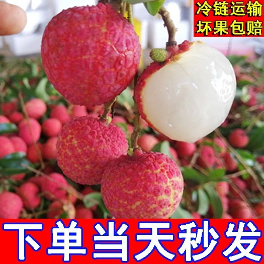 吴川市妃子笑荔枝 2021当季妃子笑新鲜荔枝非三月红桂味孕妇水果糯米糍白糖罂可